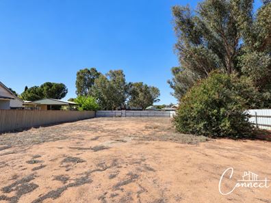 6 Goomalling Road, Northam WA 6401