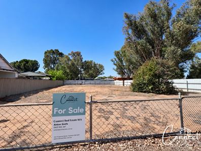 6 Goomalling Road, Northam WA 6401