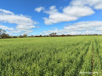 "Windfarm" Lot 20762 Springwell Valley Road, South Burracoppin WA 6421
