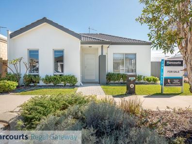 37 Vermont Grove, Wellard WA 6170