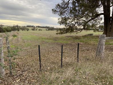 Lot 254 Sturdee Road, Mount Barker WA 6324