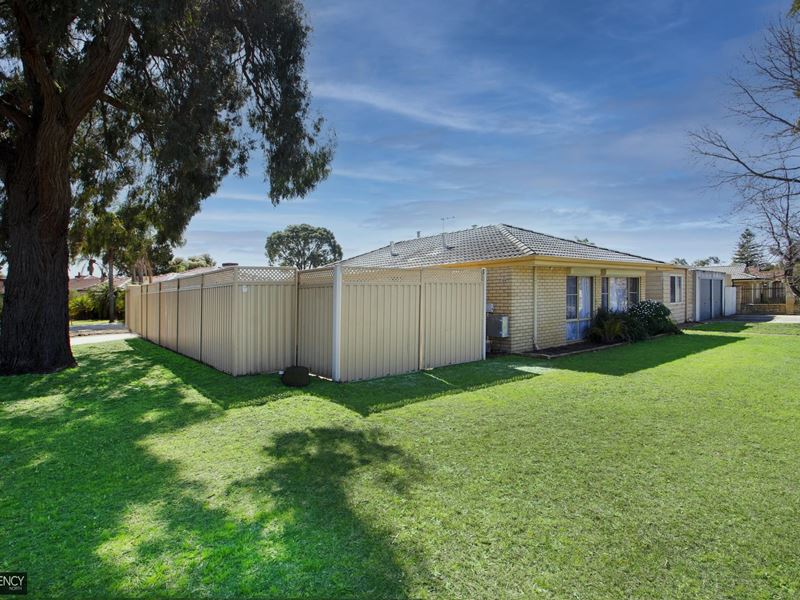 59 Osprey Circle, Ballajura WA 6066