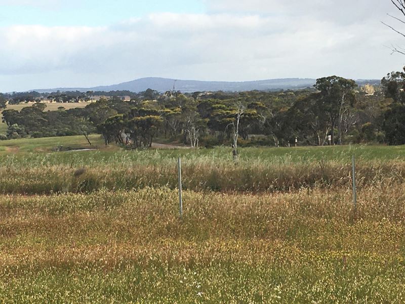 Lot 2095 Collins Road, Kendenup WA 6323