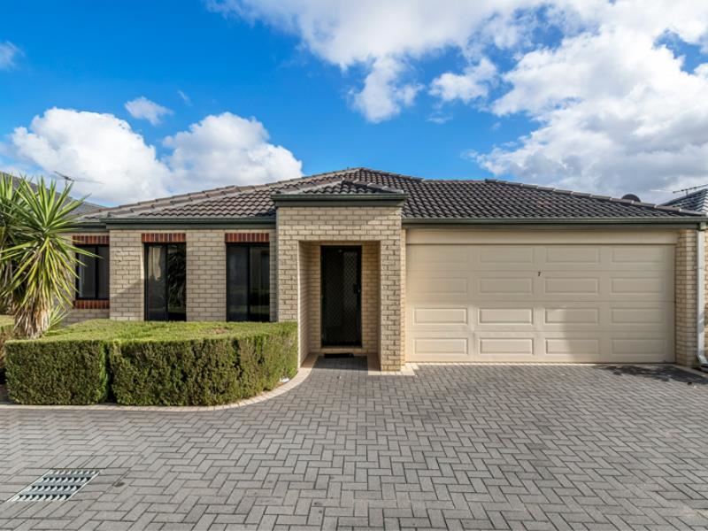 7/19 Milano  Loop, Seville Grove