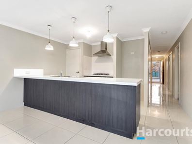 6 Hexham Terrace, Alkimos WA 6038