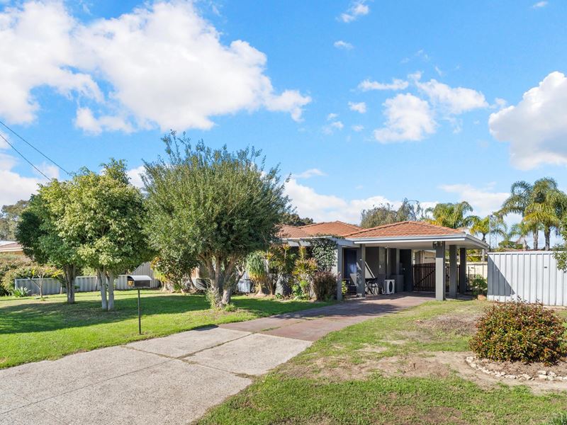 97 Chidzey Drive, Seville Grove WA 6112