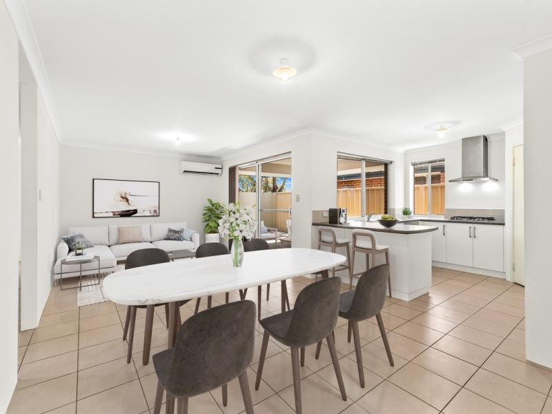 3/11 Hodnet Bend, The Vines