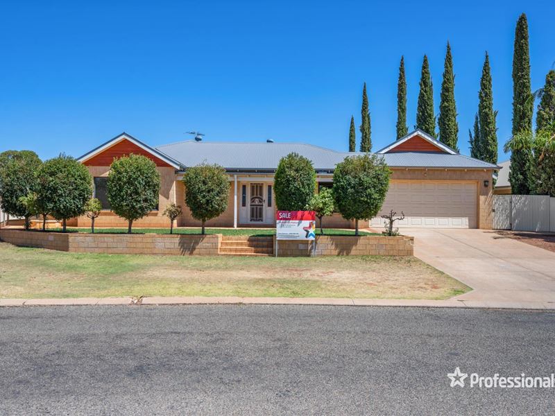 19 Smythe Drive, Broadwood