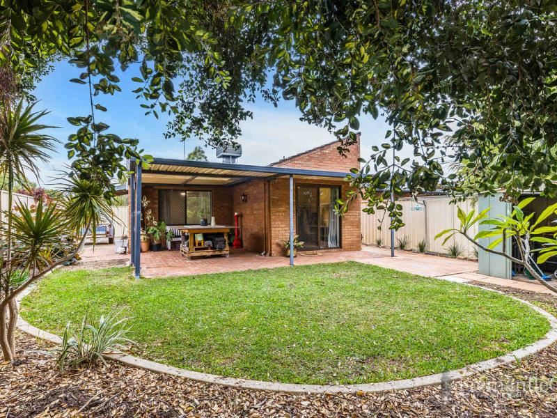 13 Bourbon Street, Hamilton Hill