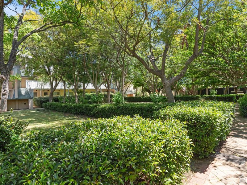 12/80 Fifth Road, Armadale