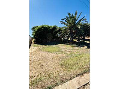 14 Plester Street, Port Denison WA 6525