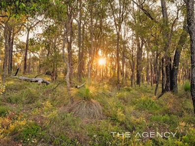 1645 Wedgetail Circle, Parkerville WA 6081