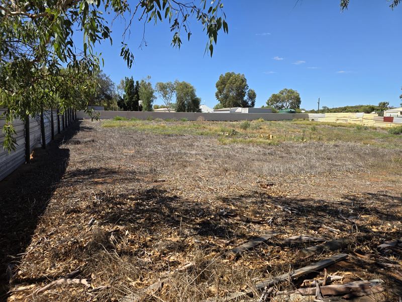 12 Lauder Street, Nanson