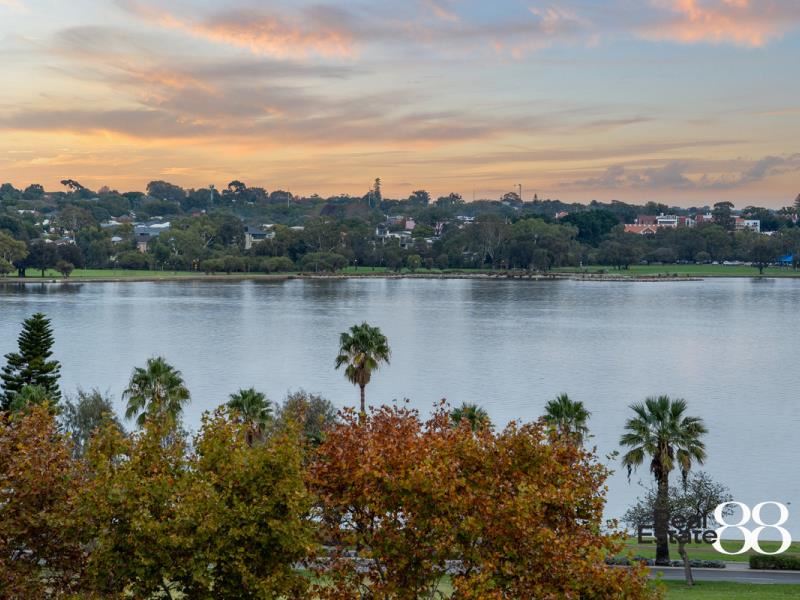157/143 Adelaide Terrace, East Perth WA 6004
