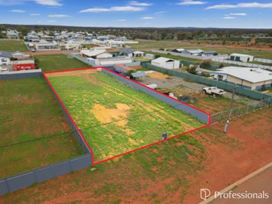 99 Macdonald Street, Coolgardie WA 6429