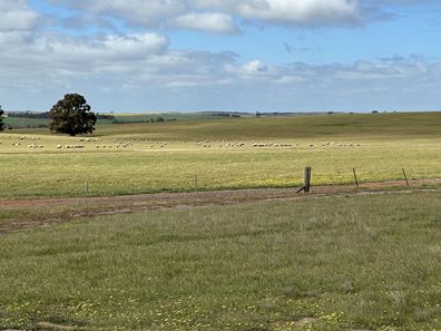 McLaren  Road, Nyabing WA 6341