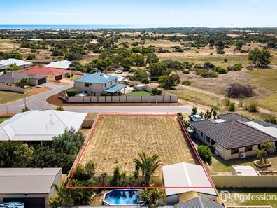 12 Pirrotina Link, Waggrakine WA 6530