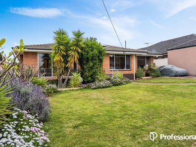 81 Golding Street, Dianella WA 6059
