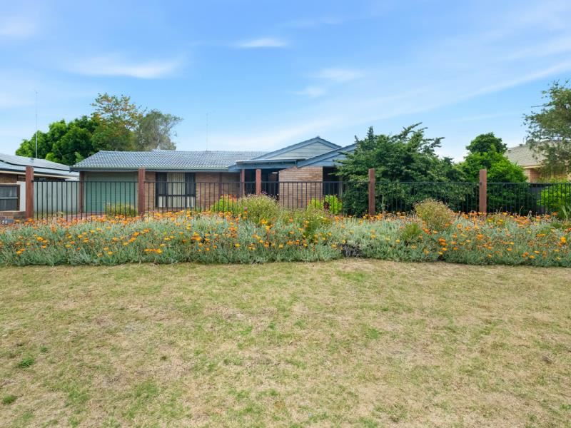 11 Balranald Street, Dudley Park