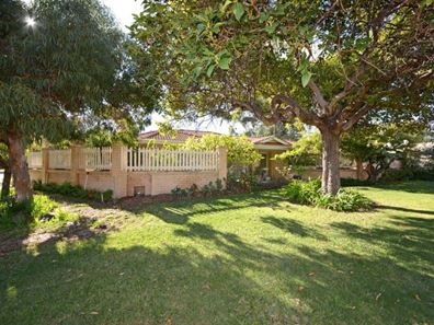 71 Michael Street, Yokine WA 6060
