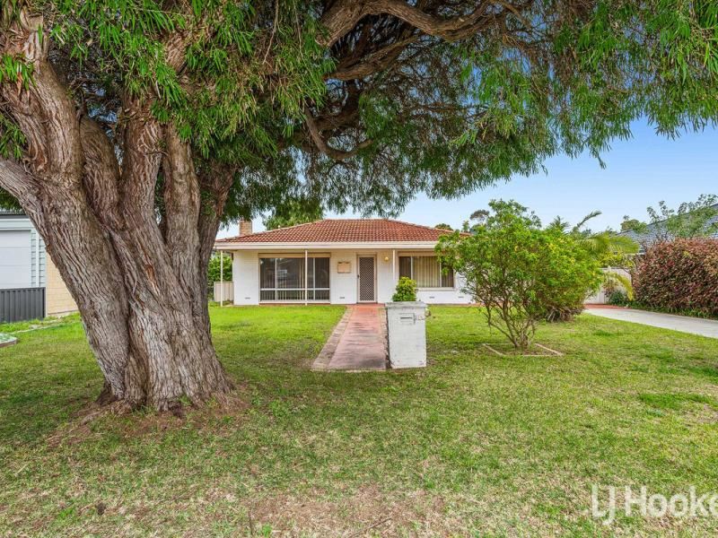16 Royce Street, Singleton