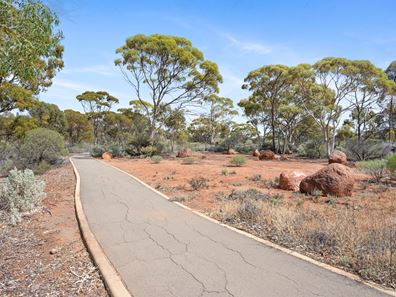 7 Windarra Way, Hannans WA 6430