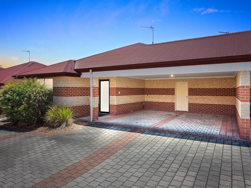 8/8 Ash Mews, Collie