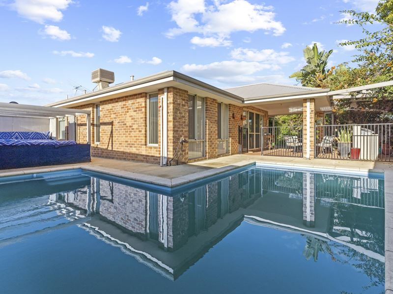 62 Buttercup Parkway, Halls Head