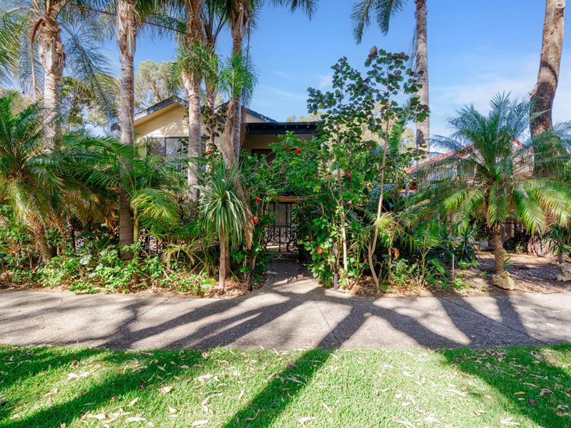 17 Marigold Lane, Falcon
