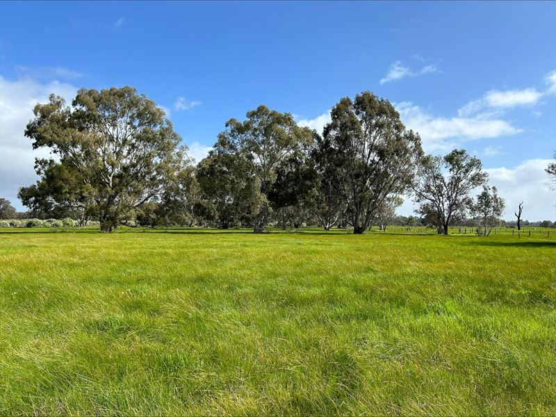 Lot 79 Old Bunbury Road, West Coolup WA 6214