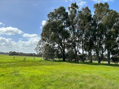 Lot 79 Old Bunbury Road, West Coolup WA 6214