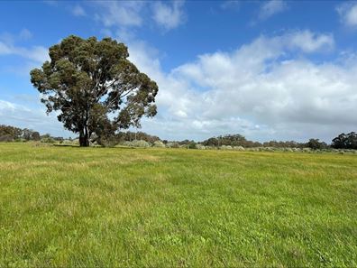 Lot 79 Old Bunbury Road, West Coolup WA 6214