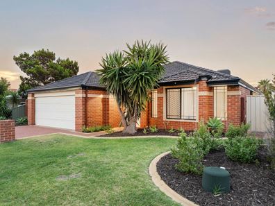 18 Calautti Court, Gwelup WA 6018