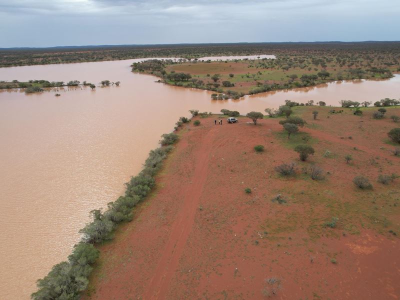 Polelle Station, Meekatharra WA 6642