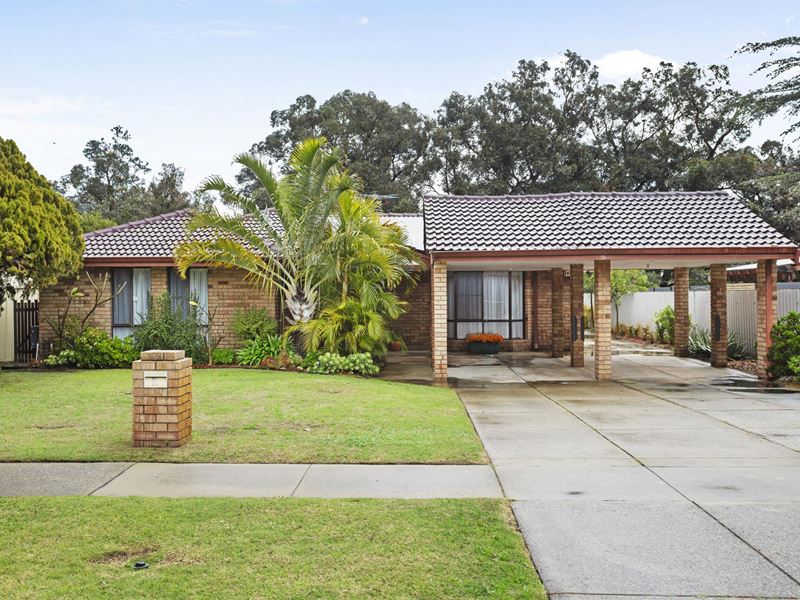 11 Kingfisher Place, Stirling WA 6021