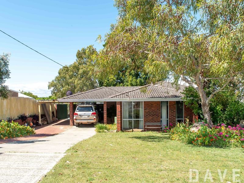 81 Macquarie Avenue, Padbury