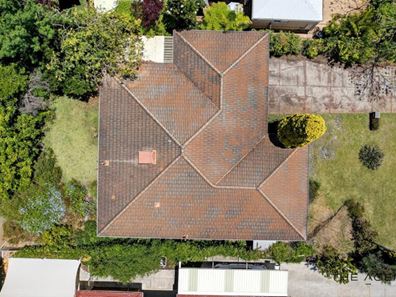 19 Kingfisher Loop, Willetton WA 6155