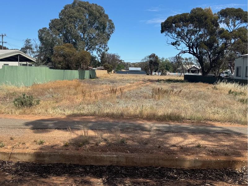 121 Roberts Street, Norseman WA 6443