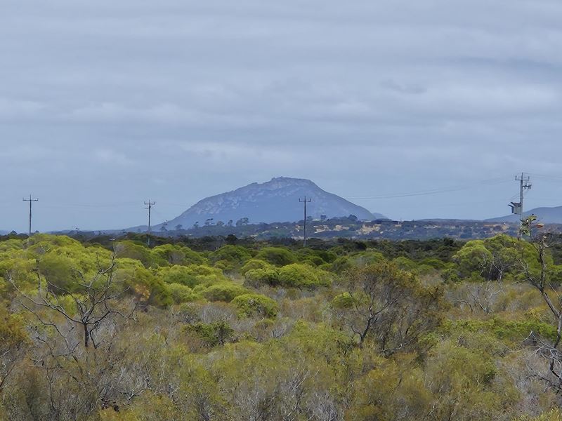 344 Dotterel Drive, Hopetoun WA 6348