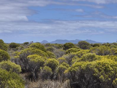 344 Dotterel Drive, Hopetoun WA 6348