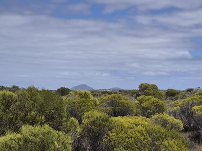 344 Dotterel Drive, Hopetoun WA 6348