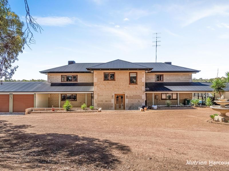 19 Scaevola Road, Coondle