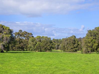 Lot 38,  Blackwood Grove, Kudardup WA 6290