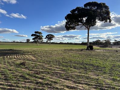 'New Land' Nulla Nulla South Road, South Yilgarn WA 6426