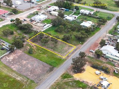 31 Oliver Street, Mingenew WA 6522
