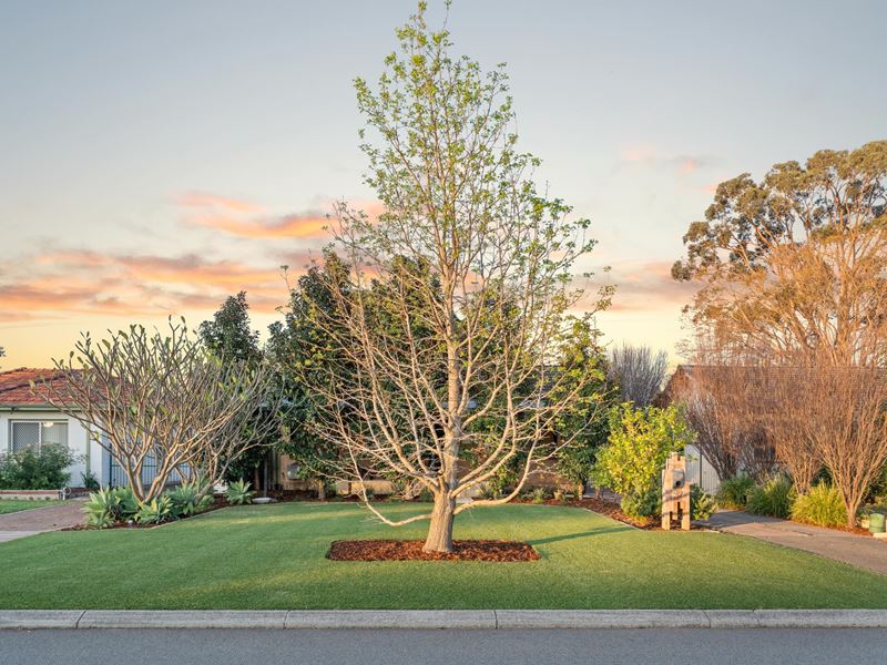 27 Williamson Avenue, Belmont WA 6104