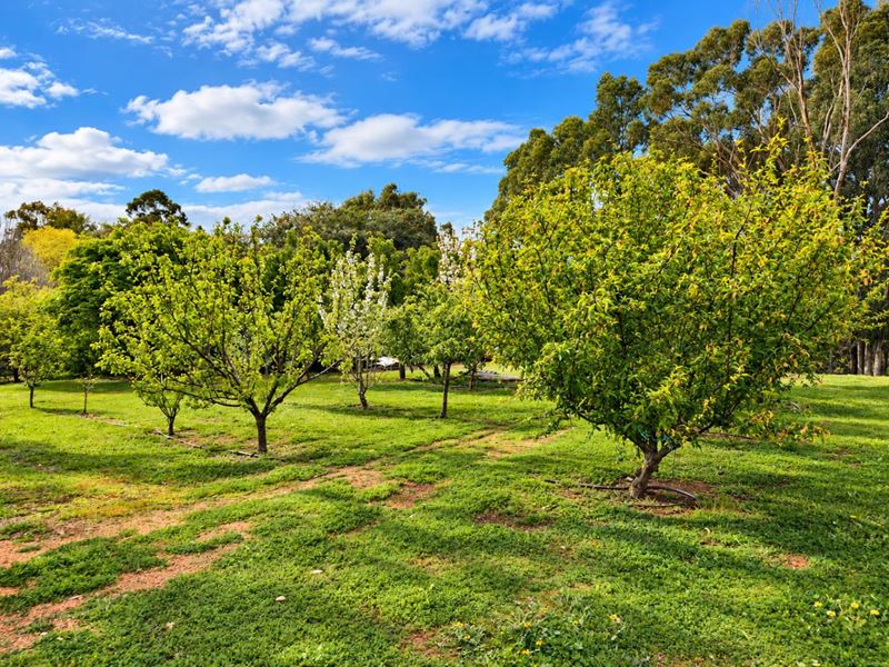 17a Doust Street, Bridgetown WA 6255