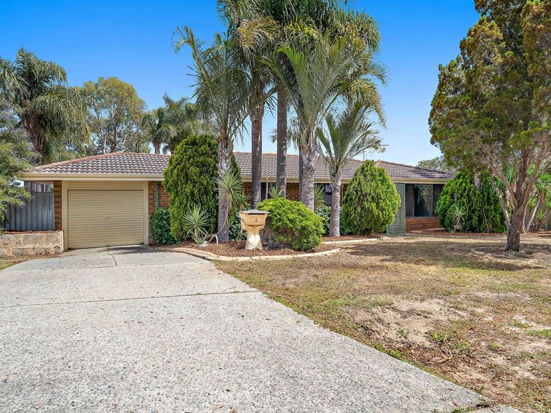 3 Alpin Court, Coolbellup WA 6163