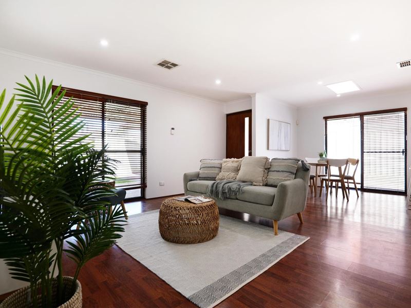 1/259 Flamborough Street, Doubleview WA 6018