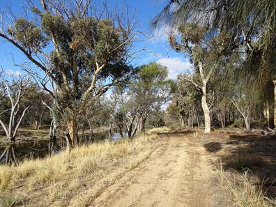Lot C 15231 Great Southern Highway, Popanyinning